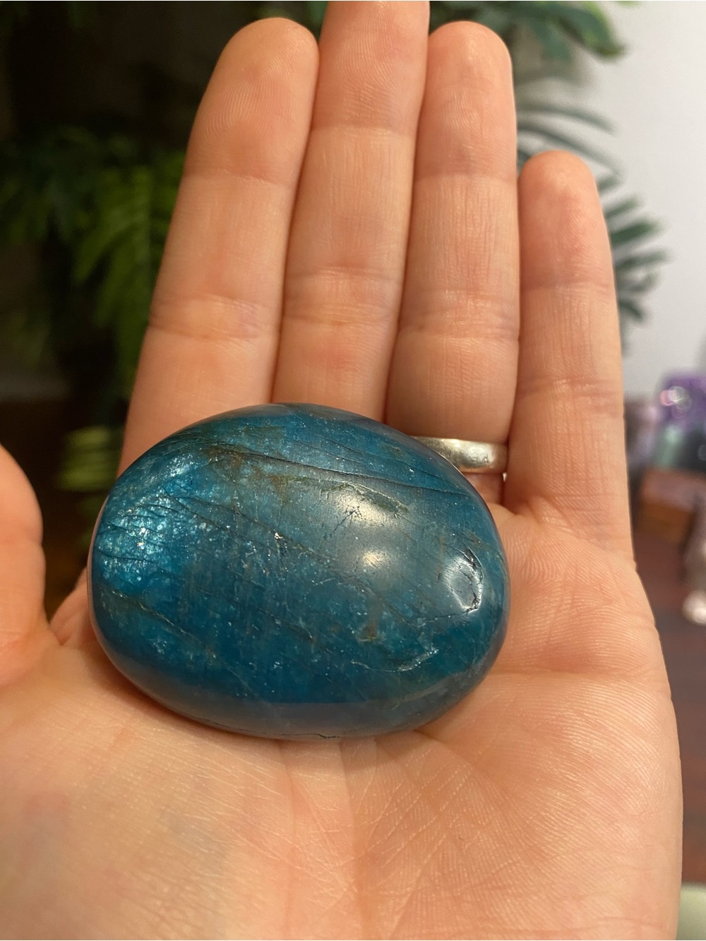 Blue Apatite Palm Stone - Picture 1 of 13